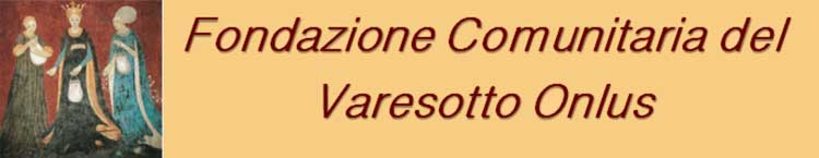 Fondazione Varesotto Banner