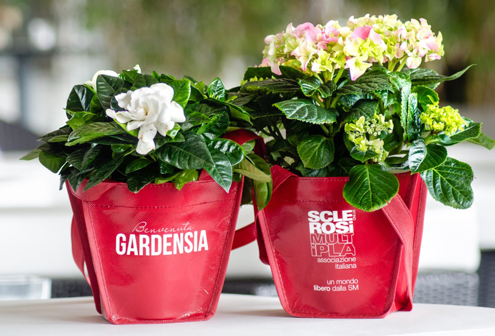 Gardenia e Ortensia AISM
